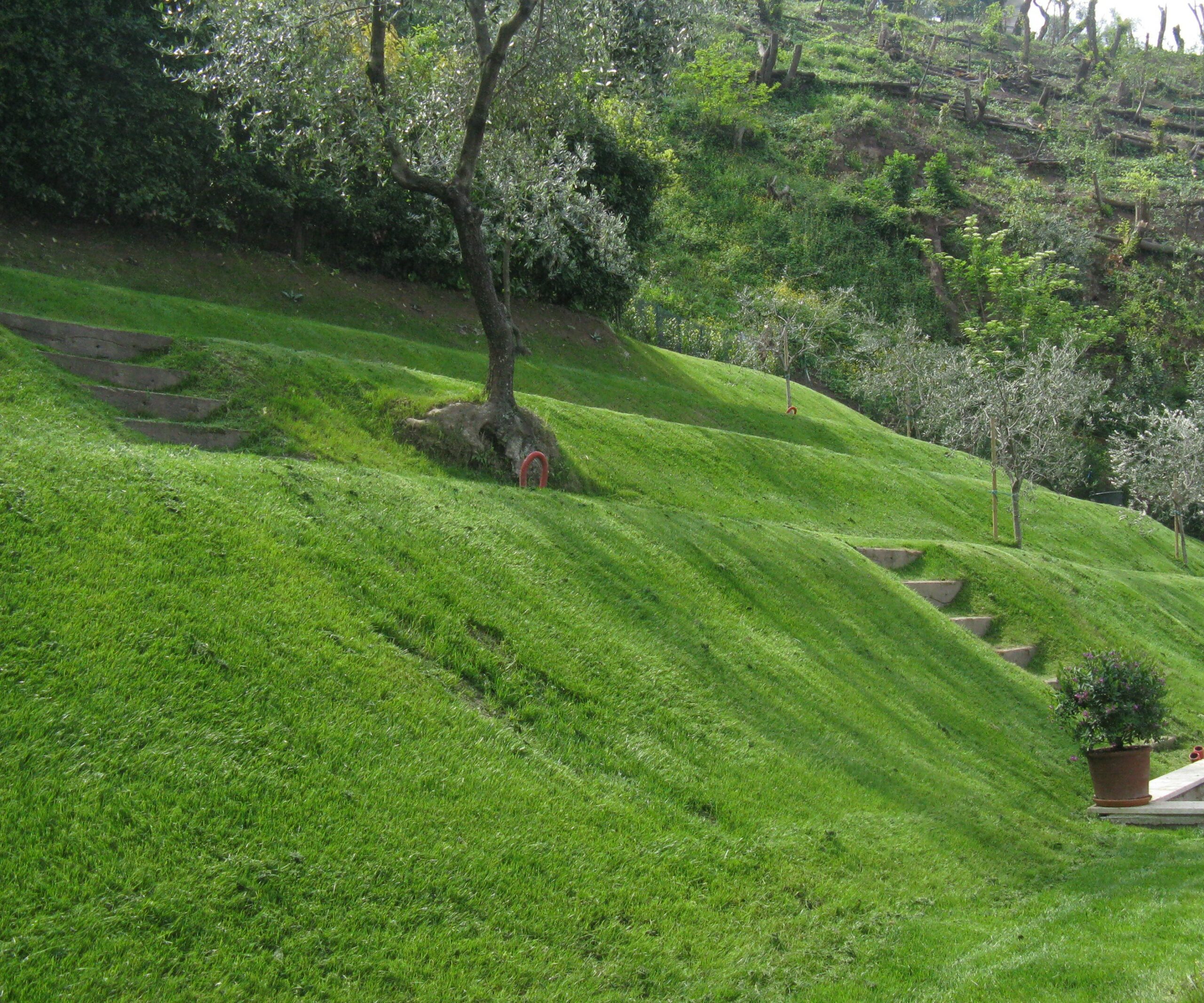 Progetto di giardino realizzato da Essedì Giardini a Trieste